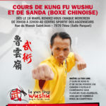 Cours de Kung Fu Wushu et de Sanda (boxe chinoise)