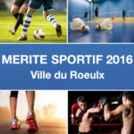 Mérite sportif 2016 le mercredi 5 octobre 2016 (dès 18h45) au Centre sportif des Ascenseurs