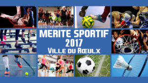 Mérites sportifs 2017